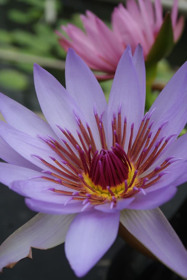 ☆当日発送可☆Canon PowerShot G7 X Mark II ジャンク