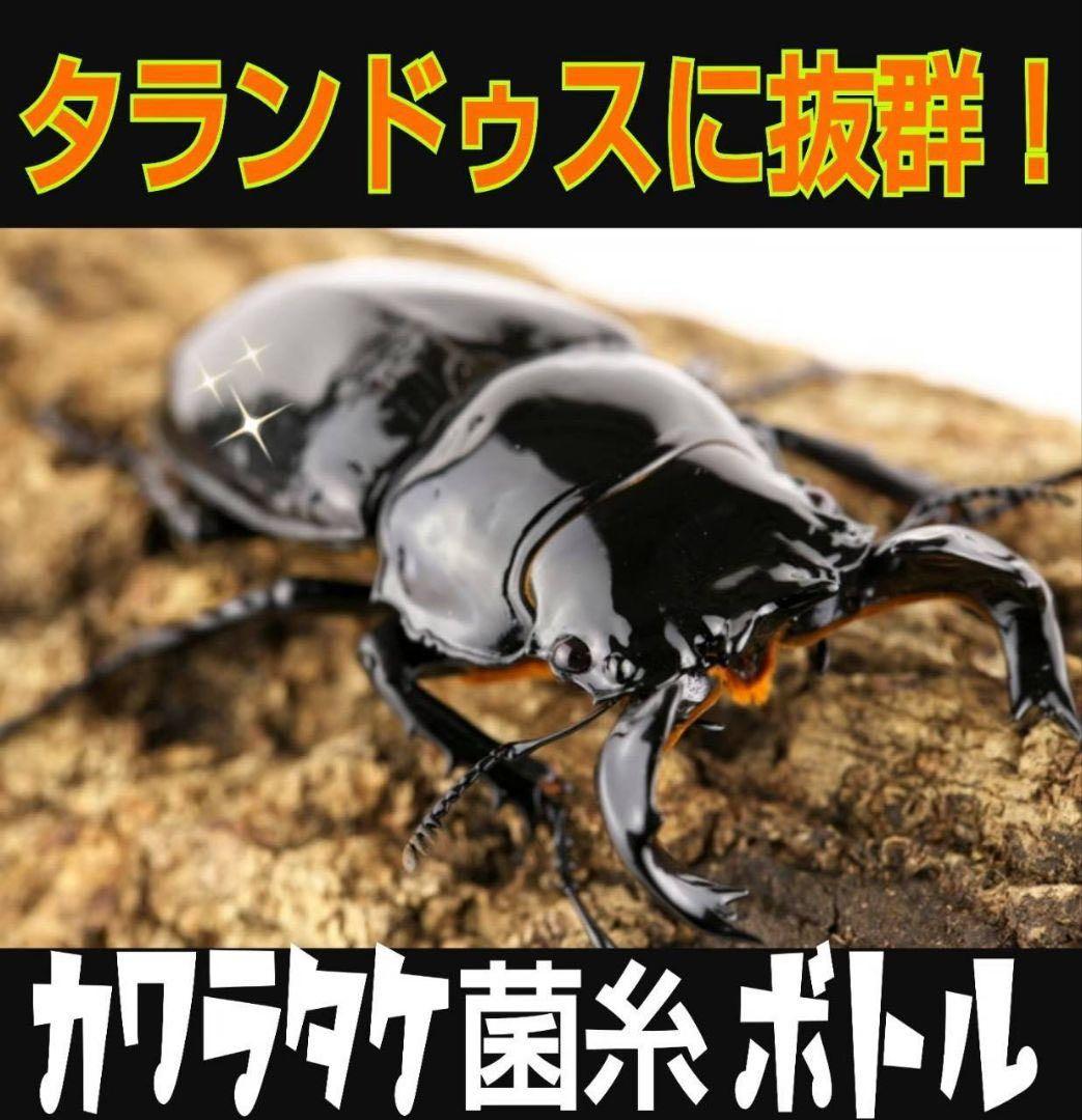 極上！カワラタケ菌糸瓶【9本】特殊アミノ酸強化配合！クワガタ幼虫全般に使えます！