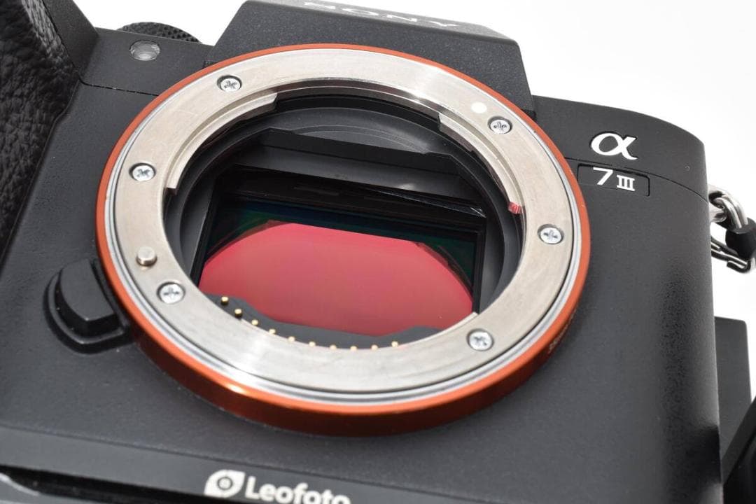 ショット数: 59310回 SONY α7III + Leofoto #1052