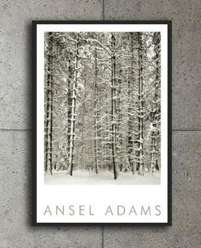 額装品/Pine Forest in /エンボスマーク/アンセルアダムス