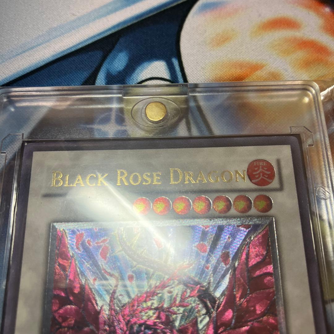 ブラック・ローズ・ドラゴン CSOC-EN039 英語　レリーフ　⑤ 深堀