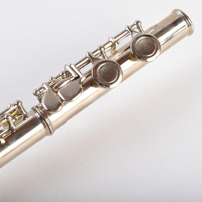 フルート　kaerntner　ケルントナー　ハードケース付　M　R9230