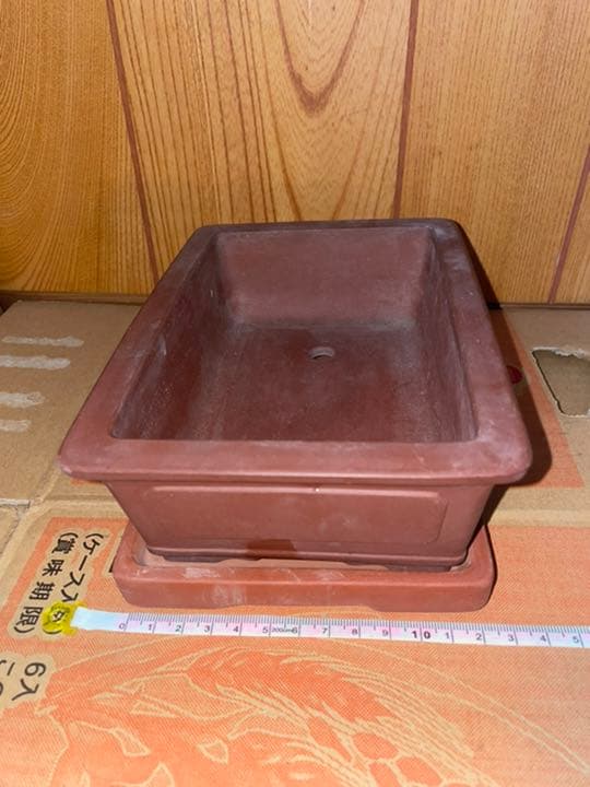 最終価格　中国　中国宜興　植木鉢　盆栽