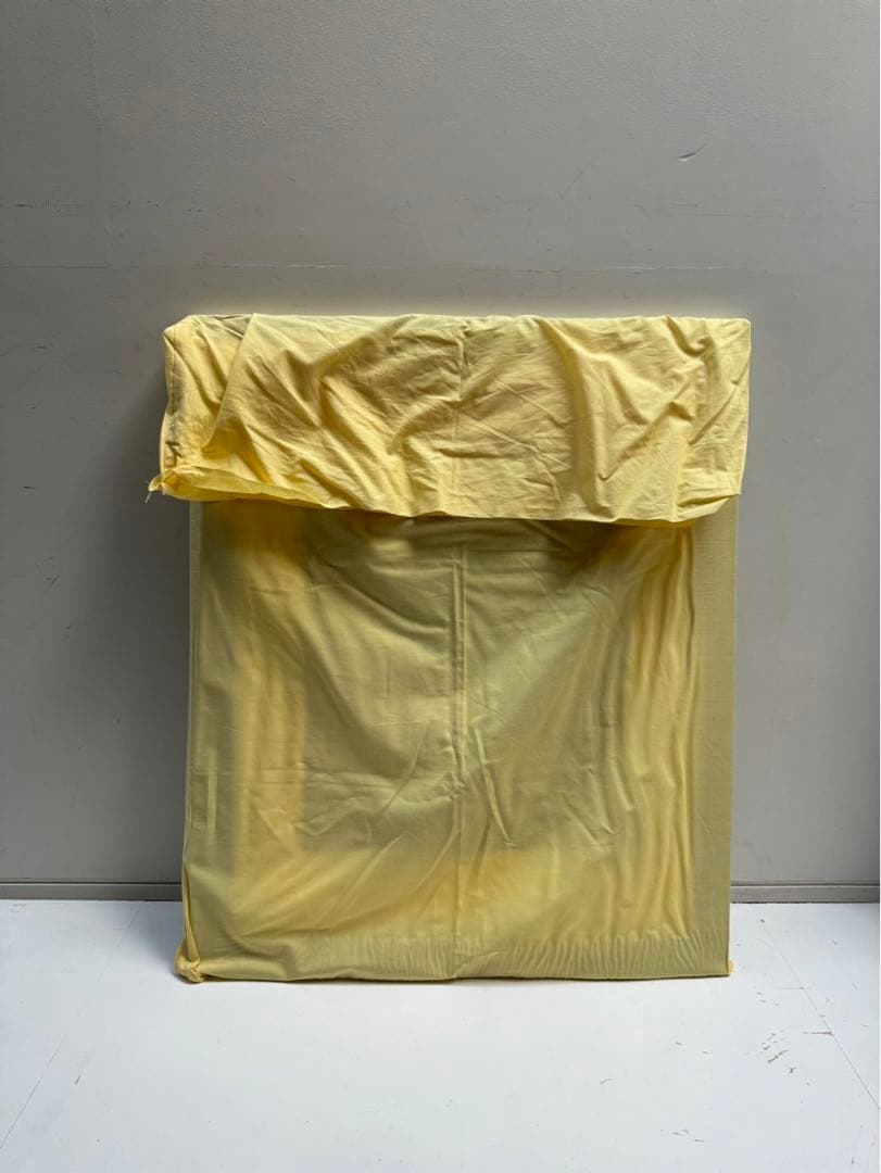 【在庫25】額 額縁 木製 焦茶 ダークブラウン 大きいサイズ アート 写真 d