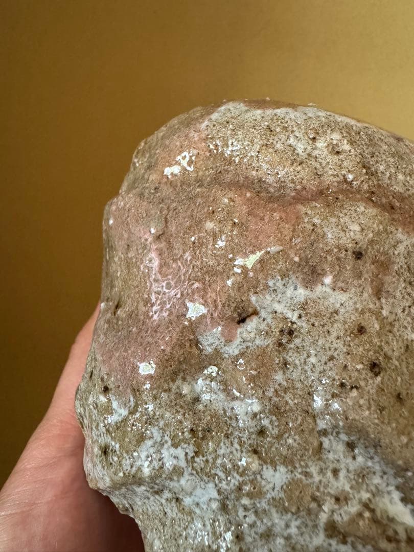 Simon manoha 茶碗　フランス人作家