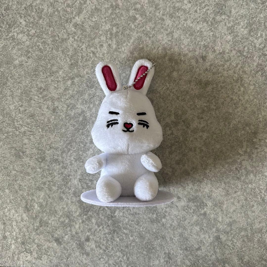 SEVENTEEN miniteen エスクプス マグネットキーリング