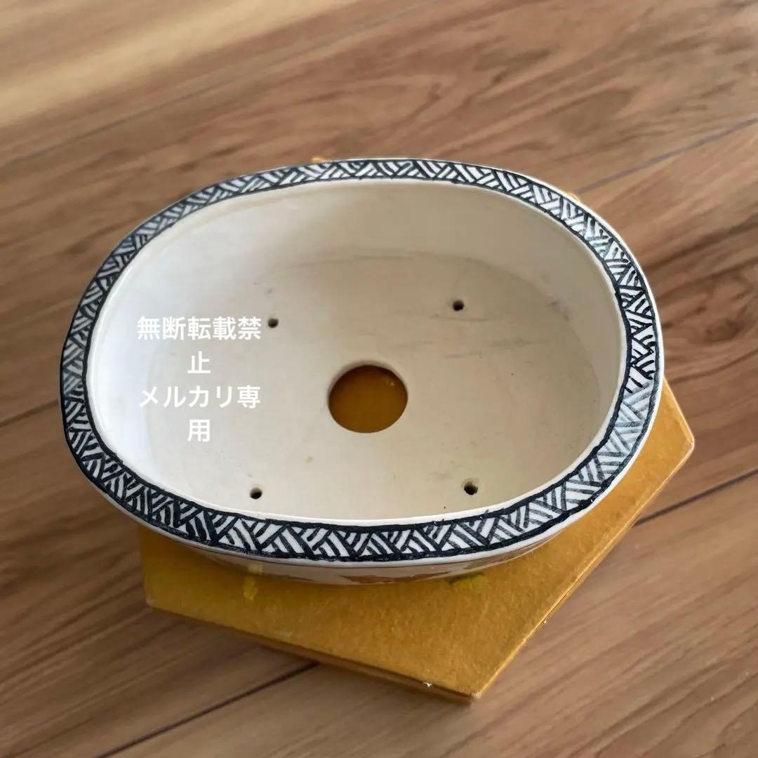 盆栽鉢　小品盆栽　桑津香石　絵鉢　楕円形　蝶　山野草