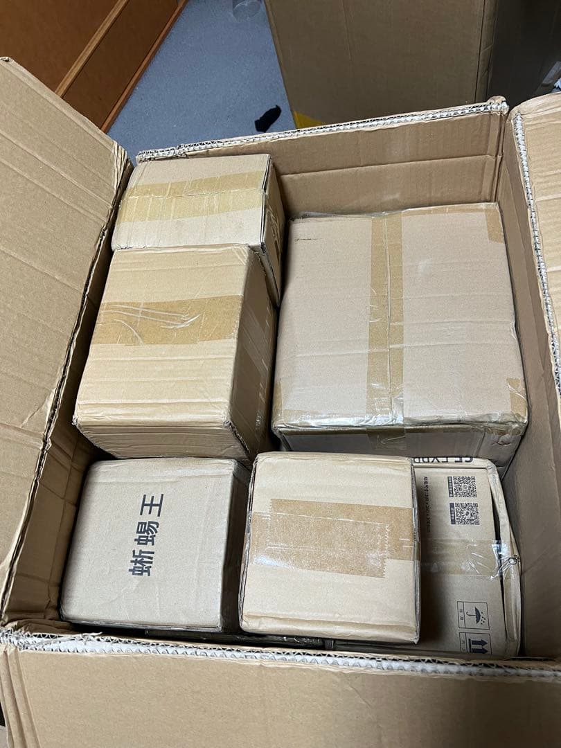 ポケモンスケールワールド　ジガルデ100%