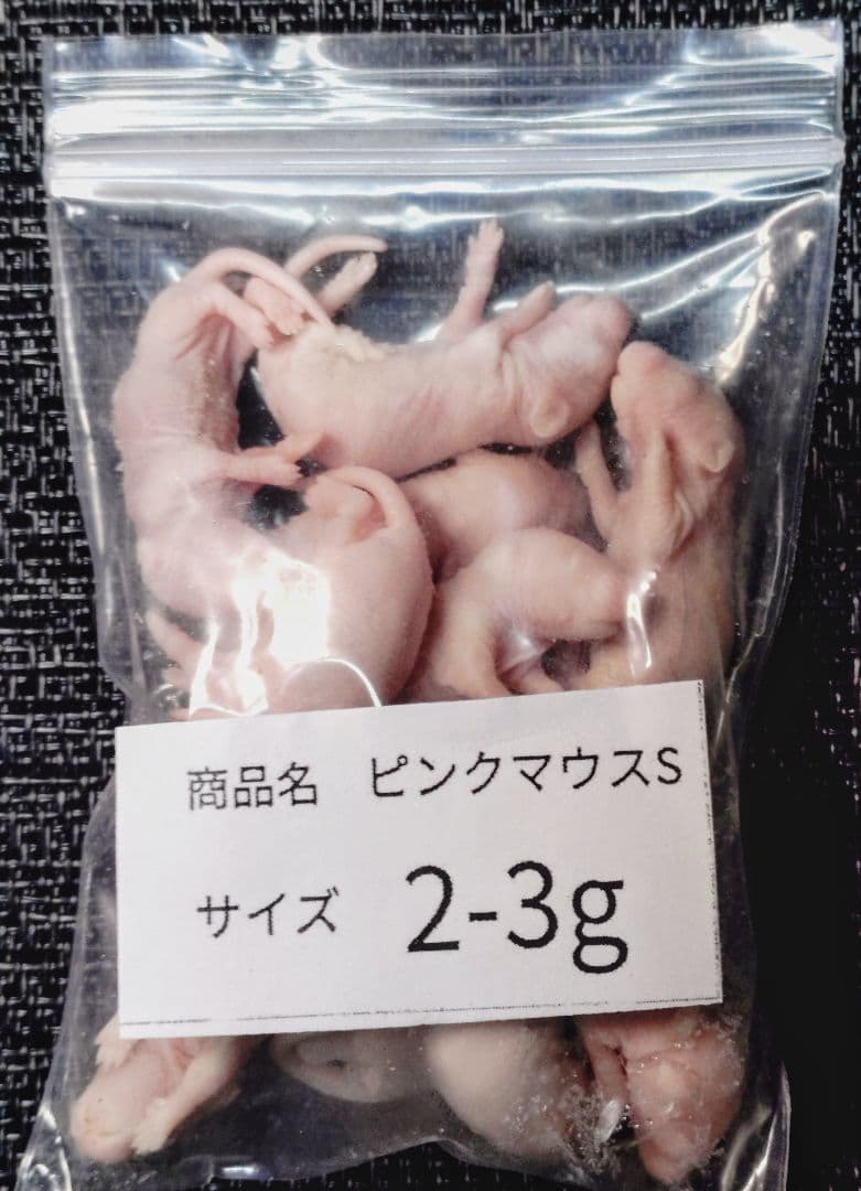 送料無料　訳あり冷凍処理済み親ウズラ200羽 ピンクS10匹冷凍コオロギサービス