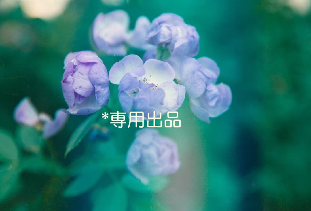 Reinhold Kuhn ラインホルト キューン セルロイド製　メガネケース