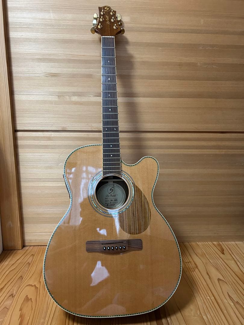 Samick Greg Bennett OM-15CE ハードケース付き