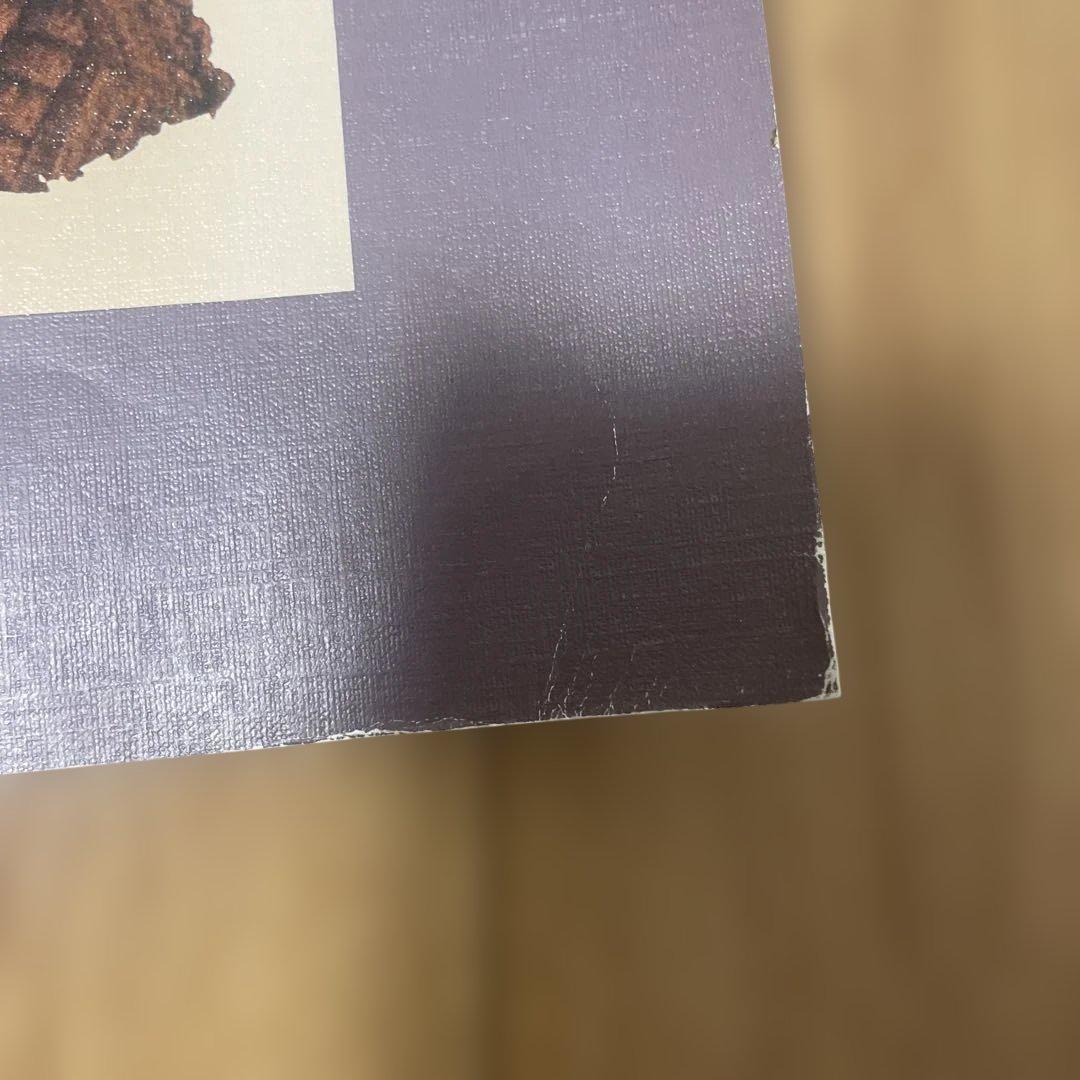 Gérard DI-MACCIO サイボーグアート