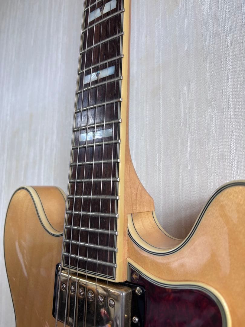 Epiphone Sheraton Ⅱ pro NA セミアコ ハードケース付