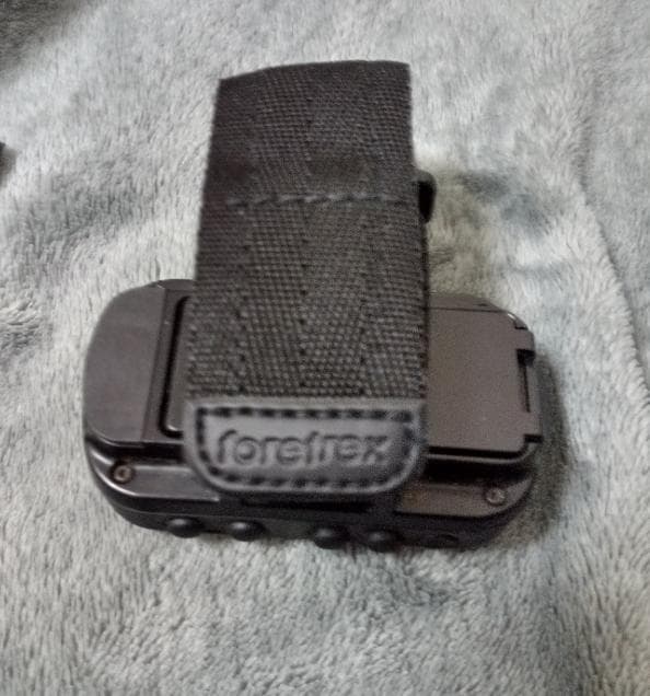 個人装備 garmin foretrex 401