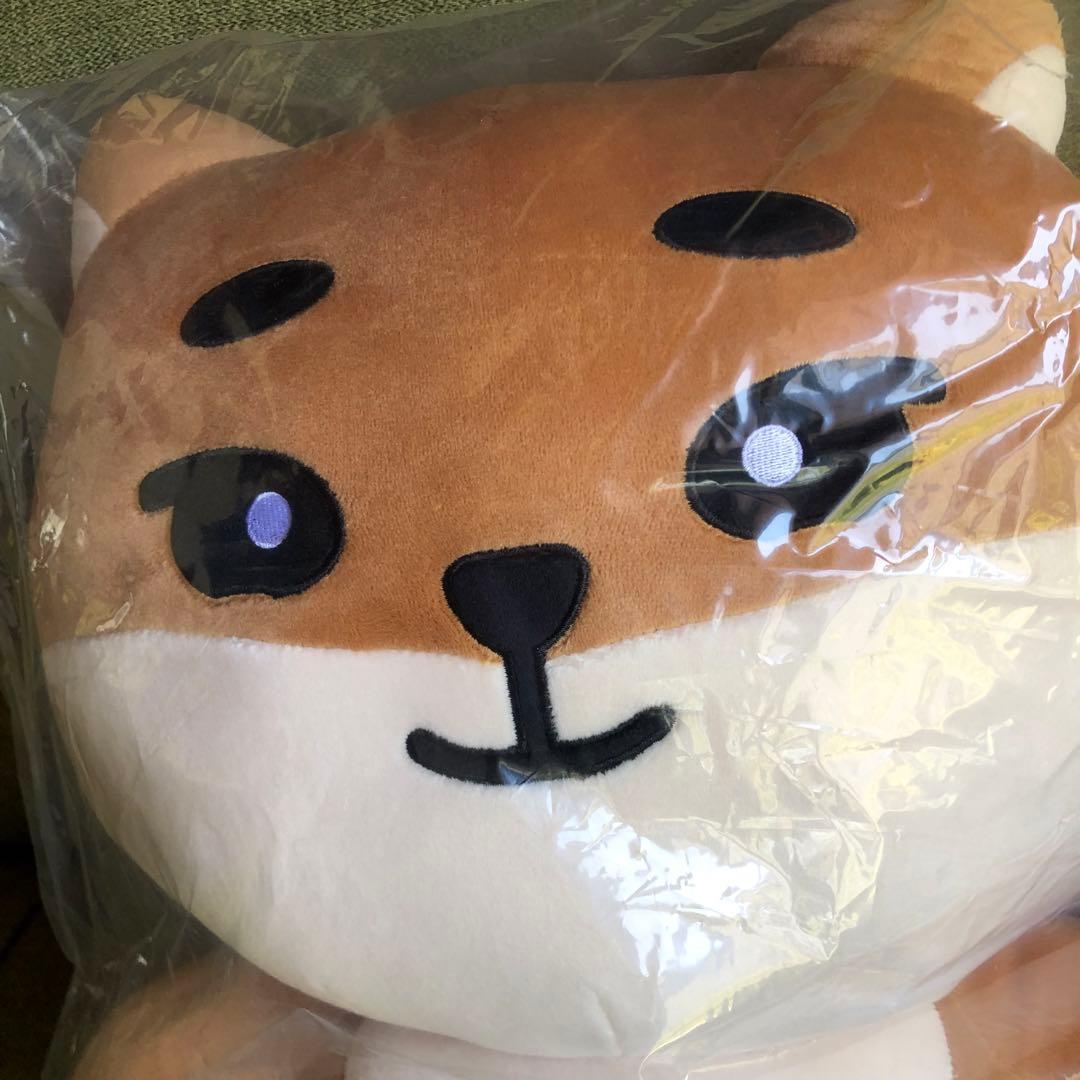 day6 denimalz ぬいぐるみジャイアントver. トレカKE ヨンケイ