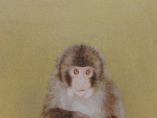 田口昌宏、【子猿】、希少な額装用画集画、新品高級額 額装付、状態良好