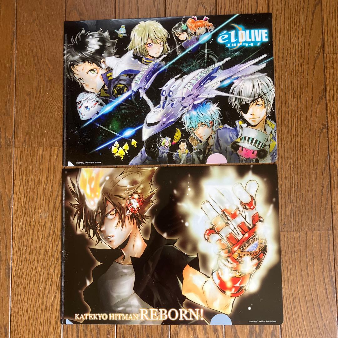 天野明展　京都　クリアファイル　11枚セット