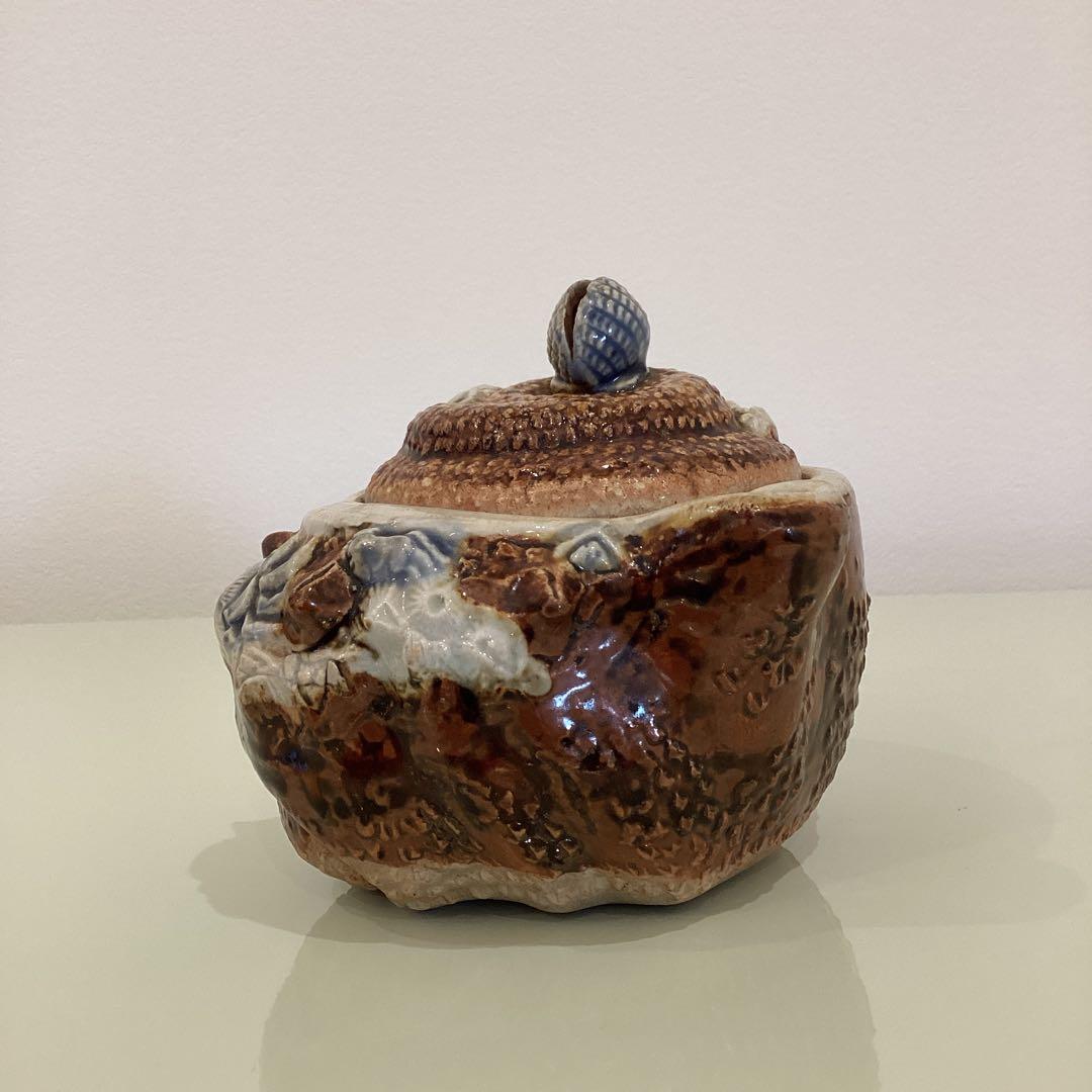 古平戸　サザエ　蓋物　江戸後期