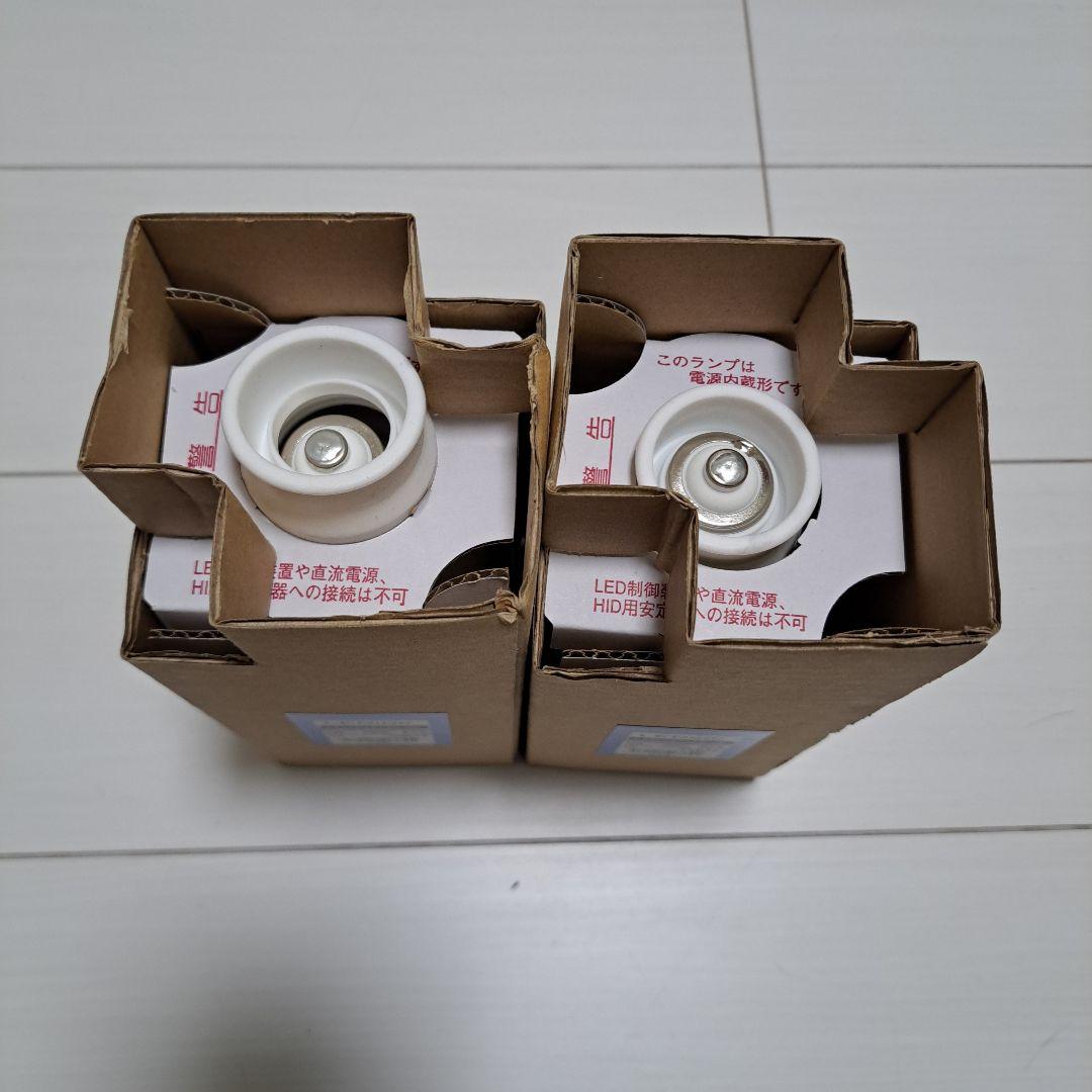LDT100-242V28N-G/H100　岩崎電気　LEDライトバルブ　２台