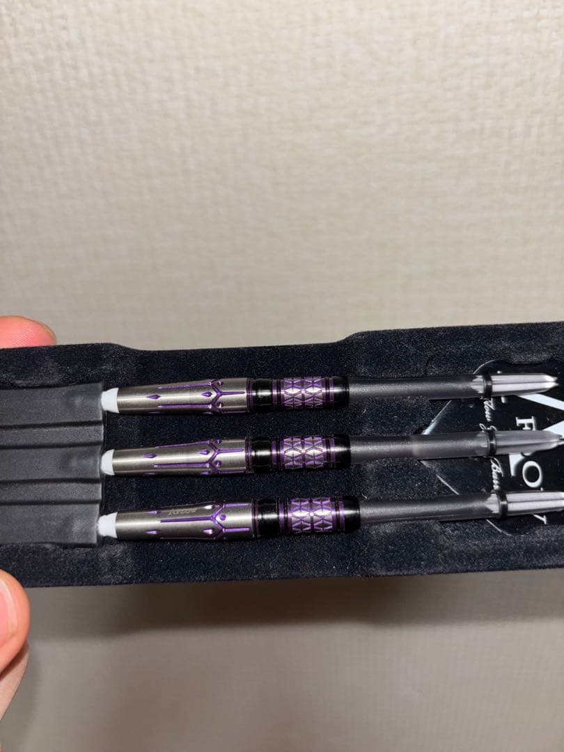 ダイナスティ アイビス 2