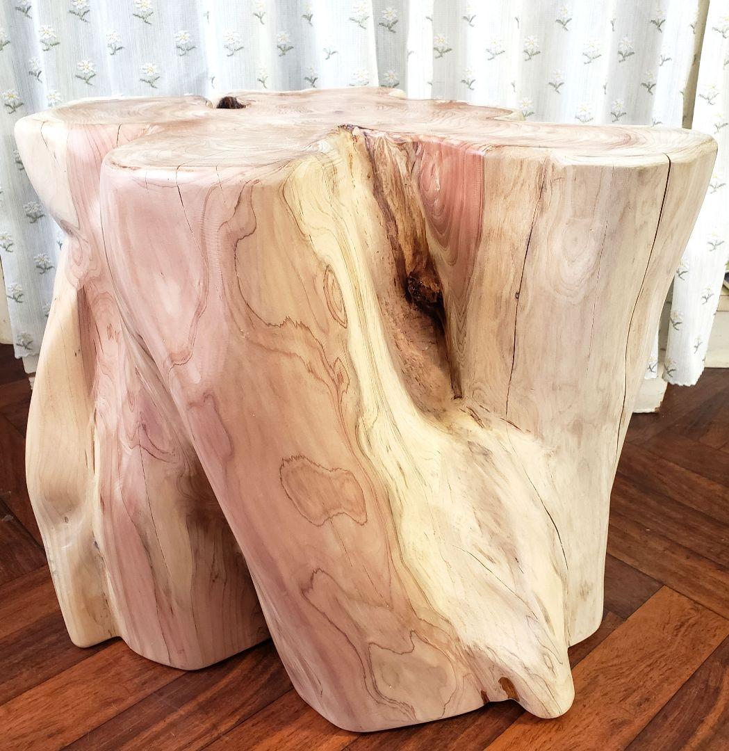 貝塚伊吹希少サイズ丸太