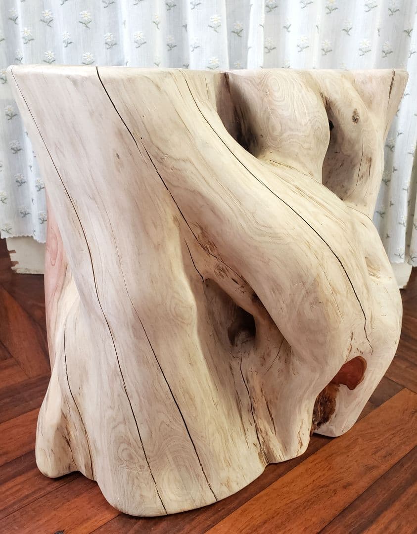 貝塚伊吹希少サイズ丸太