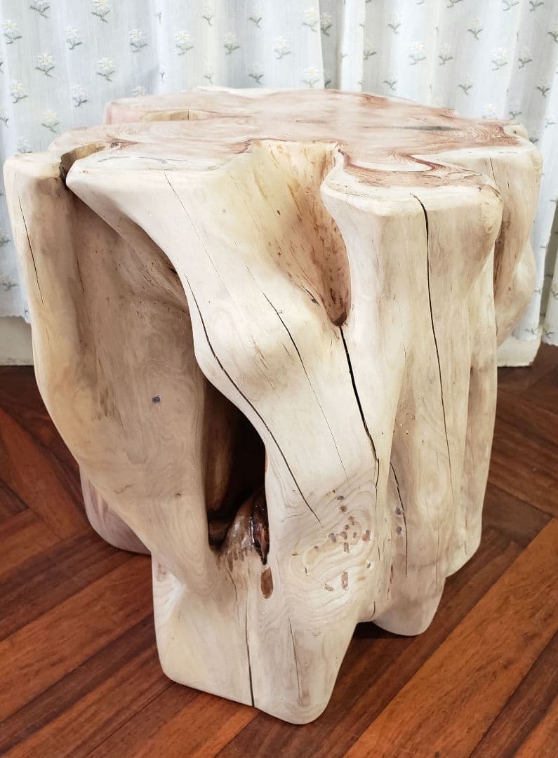 貝塚伊吹希少サイズ丸太