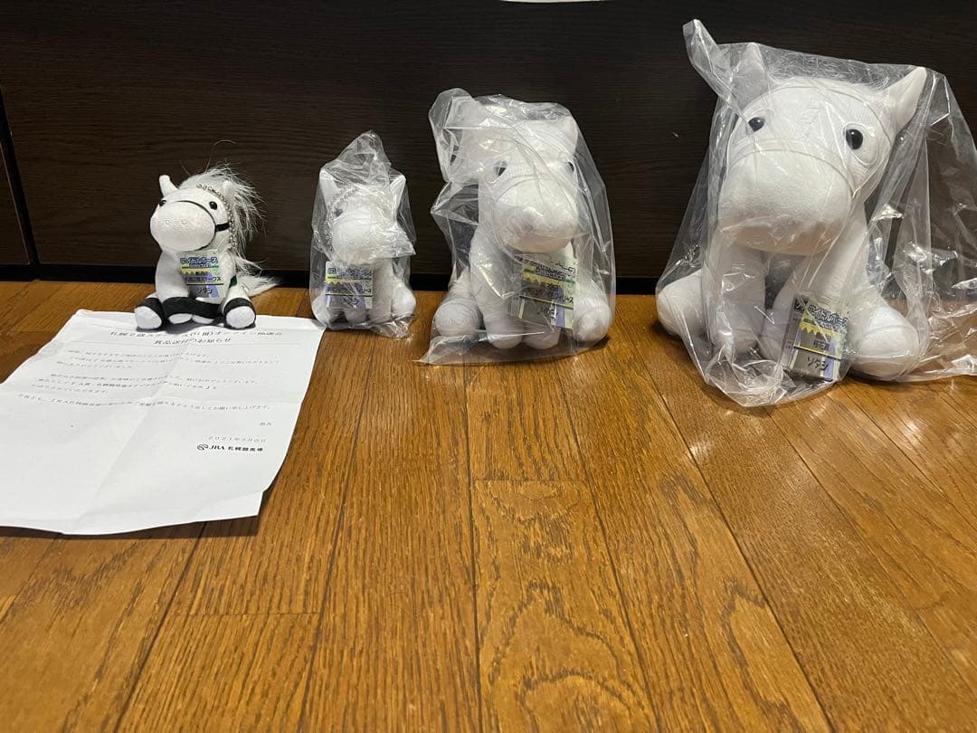 アイドルホース　ソダシ