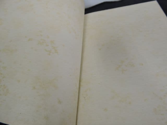 浪花風俗図絵（続）　藤原せいけん　M１３８８