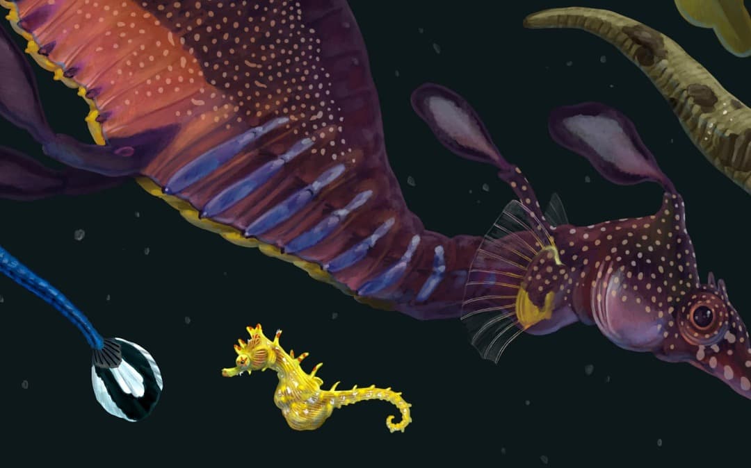 K*様 Zoe Keller 版画