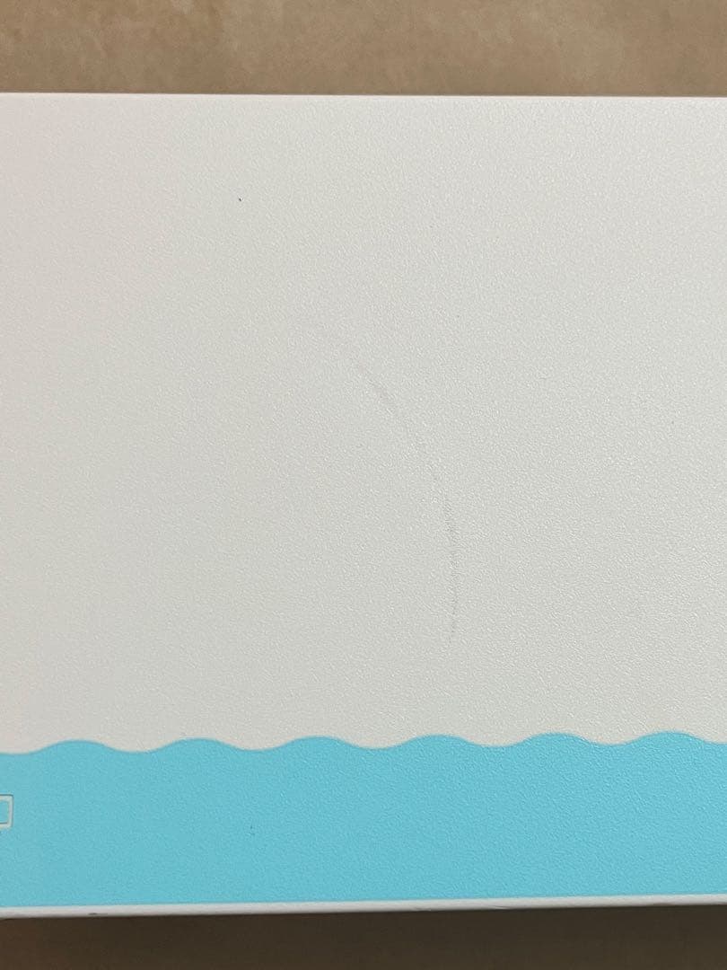 Nintendo Switch あつまれどうぶつの森ver. ⭐︎ケース付き⭐︎