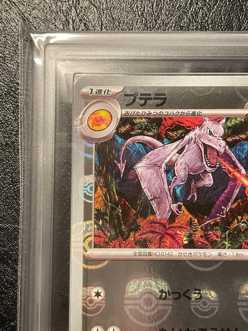 プテラ マスターボールミラー ars10 ②