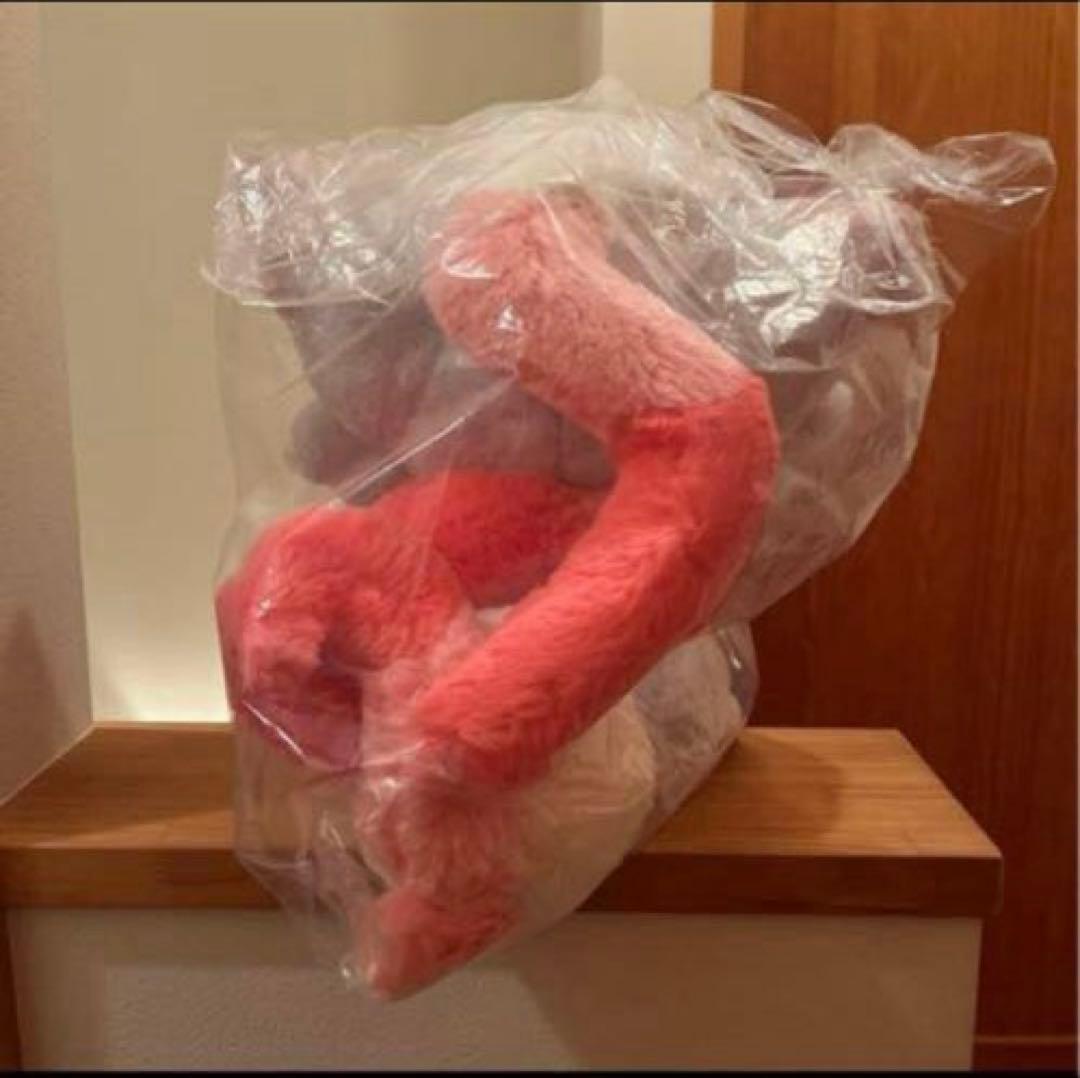 【新品】ポケセンオリジナル　ふわふわ抱きぬいぐるみ ヒスイゾロア　ポケモン 人気