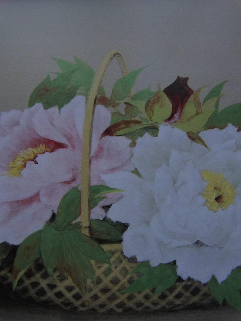 岡信孝、「富貴花」、希少な画集の額装画、オーダーマット付・日本製新品額入り