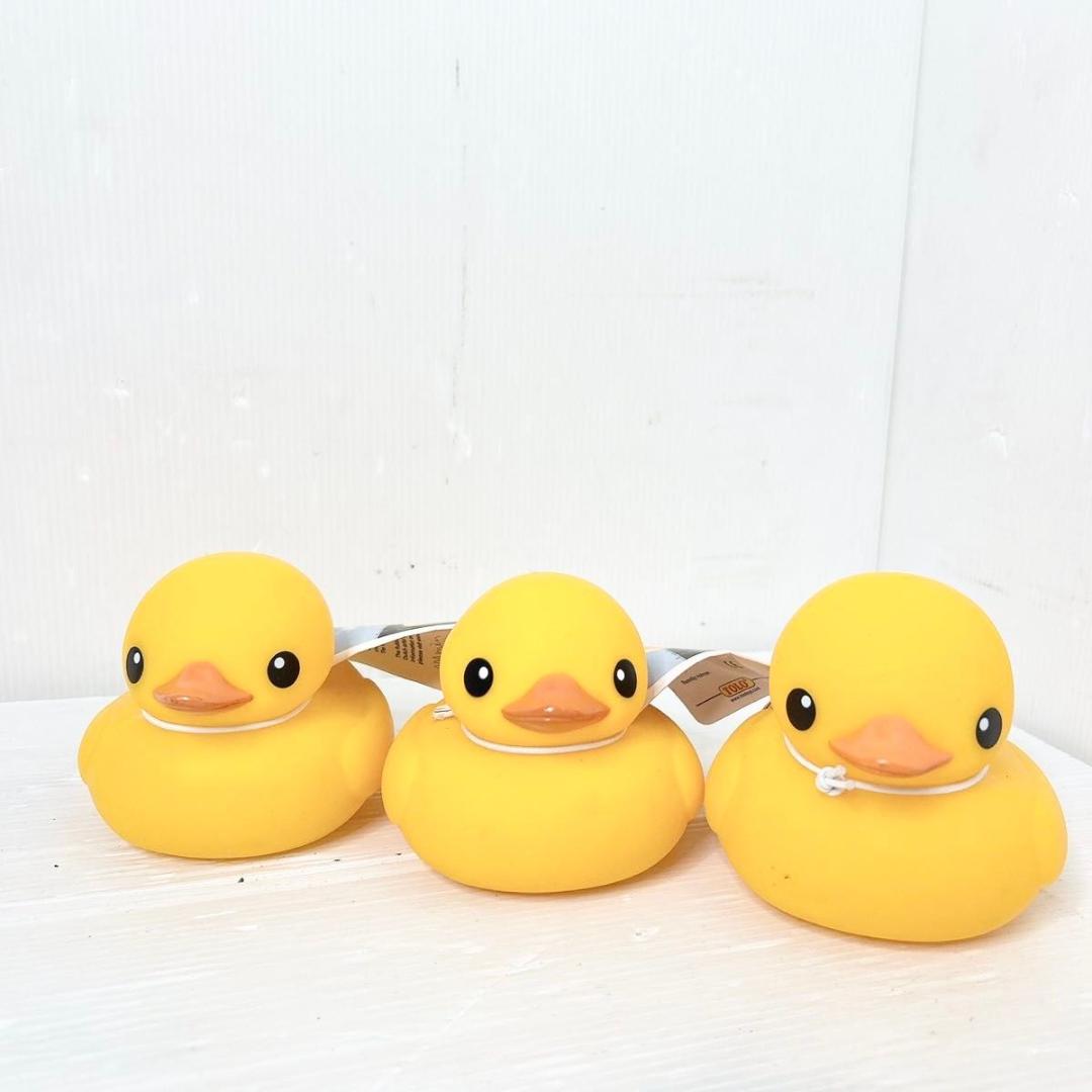 フロレンティン　ホフマン ラバーダック TOLO フロレンタイン　30体セット