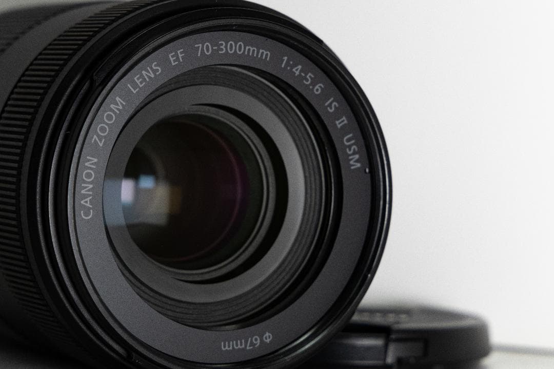 プロテクタ、フード付）EF70-300mm F4-5.6 IS II USM