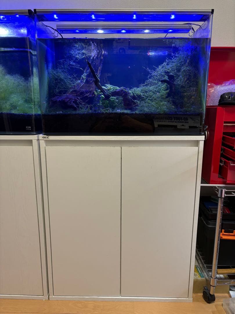 アクアシステム製ニューアール600【ＧＥＸ水槽台付】