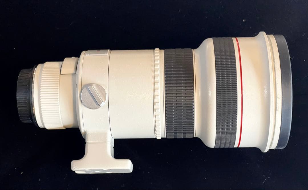 レンズ(単焦点) Canon EF300mm F2.8 L USM