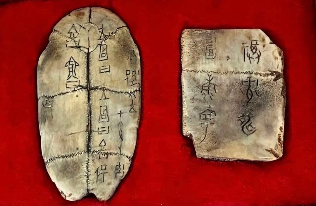 中国美術 希少 時代 古殷墟甲骨文 参考資料