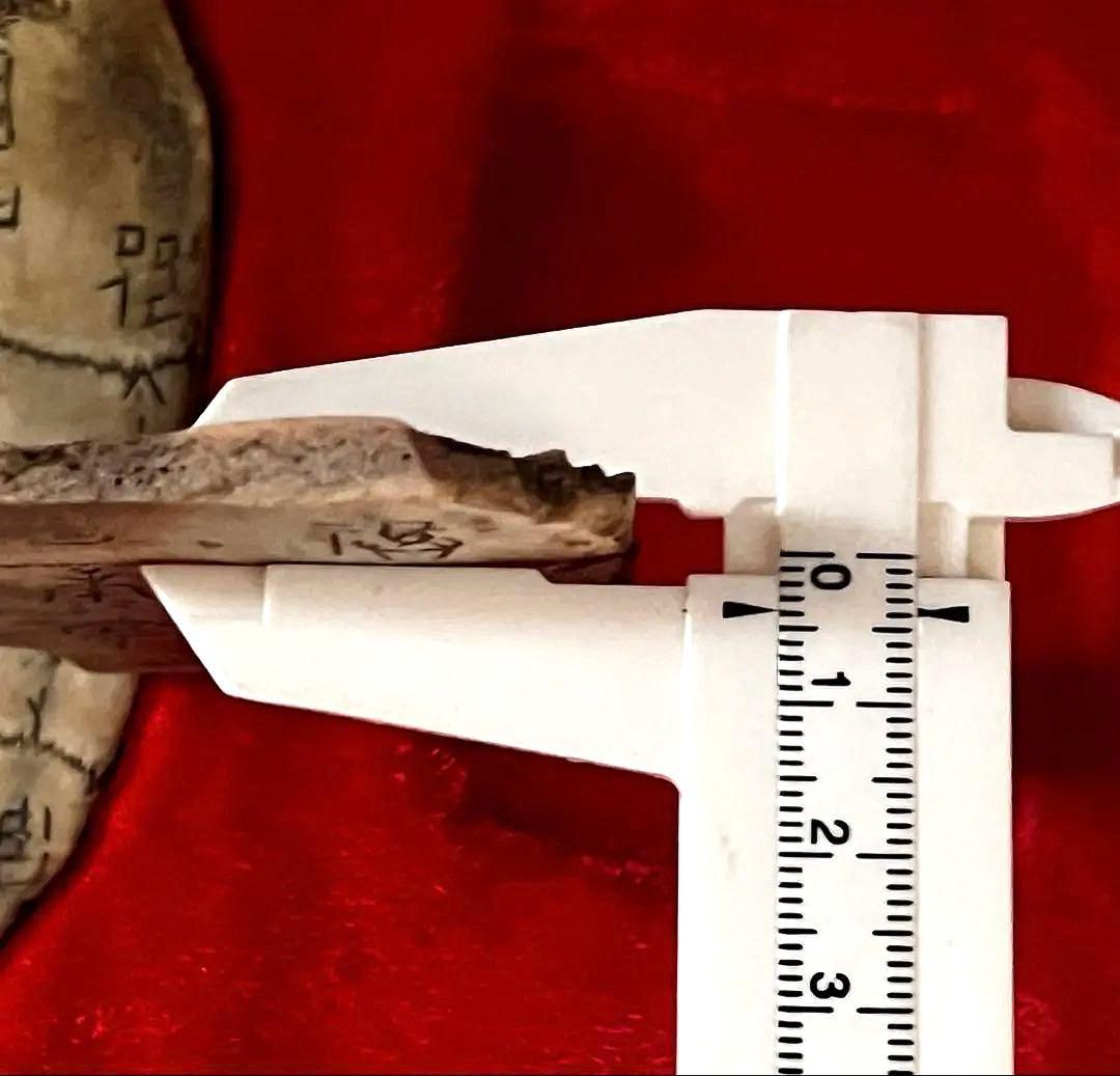 中国美術 希少 時代 古殷墟甲骨文 参考資料