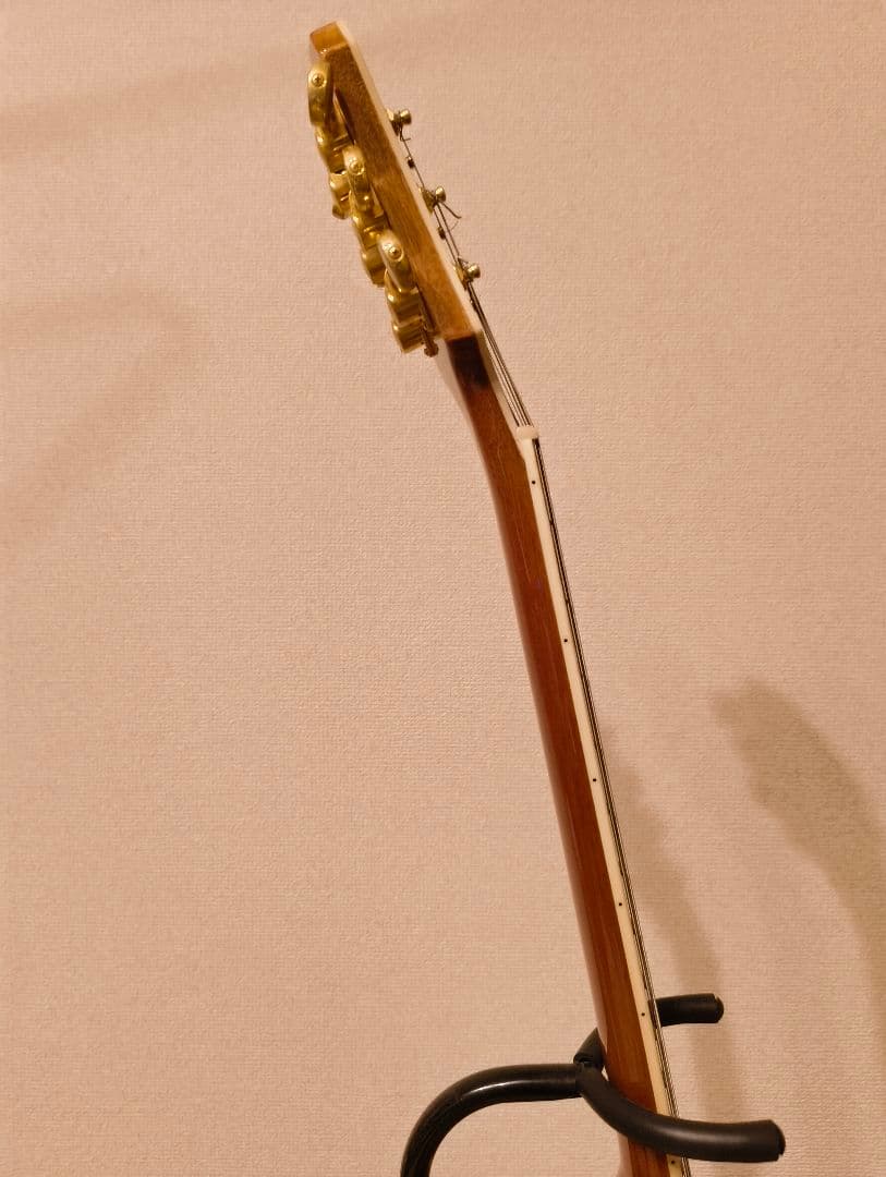 ギター Epiphone Les Paul Custom Pro koa