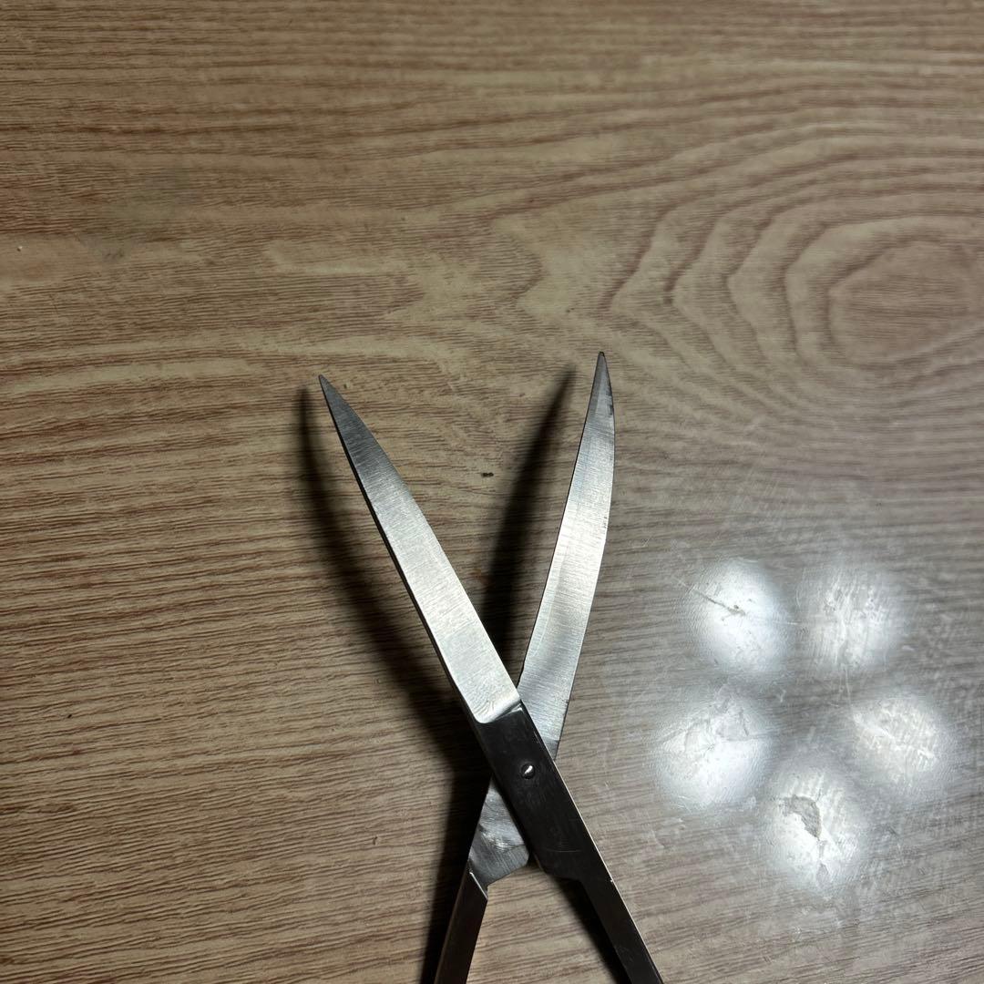 年末セール！ADA プロシザース・ウェーブ　2015年限定柄モデル