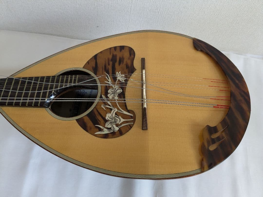 ラファエレ カラーチェ No.26 マンドリン SuperLight ケース付き