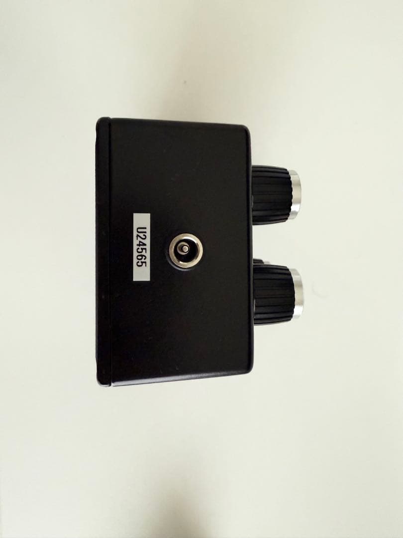 ギター Umbrella Company #24