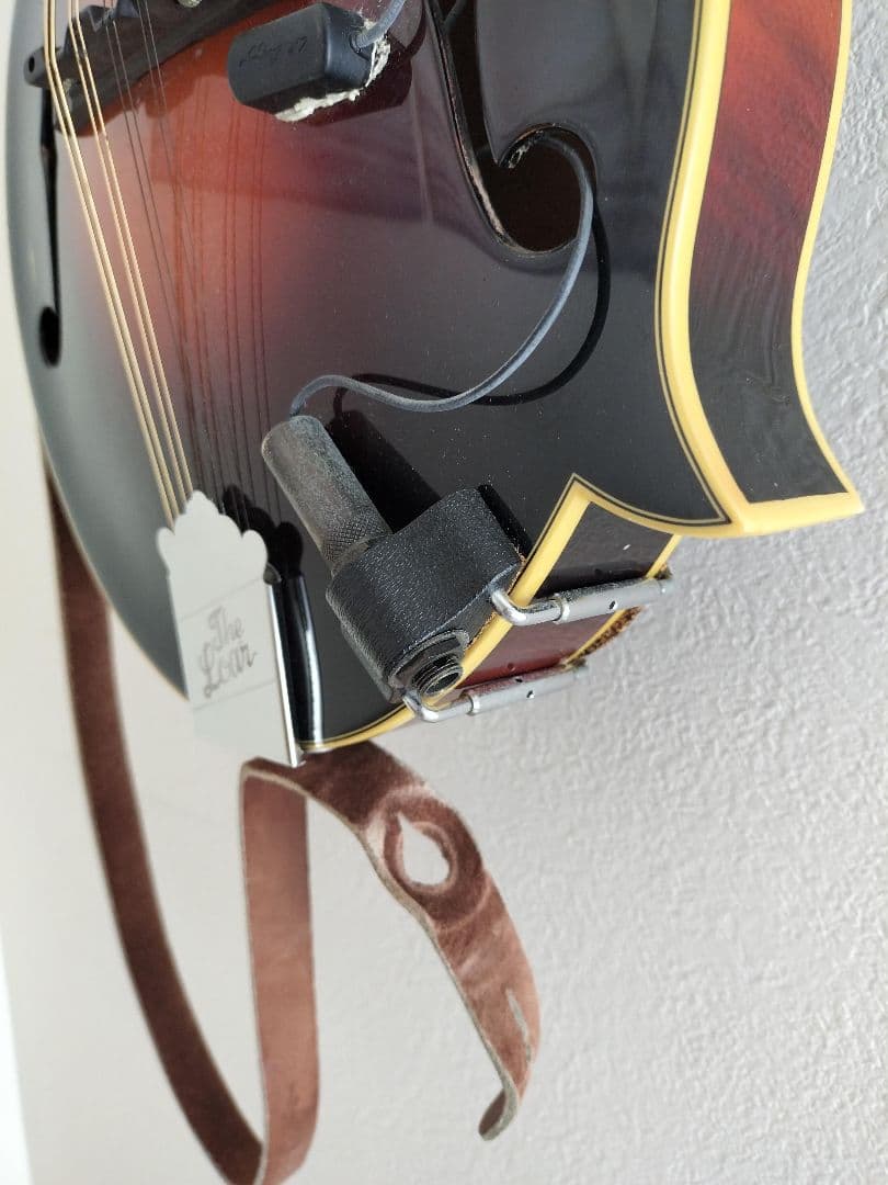 The Loar フラットマンドリン