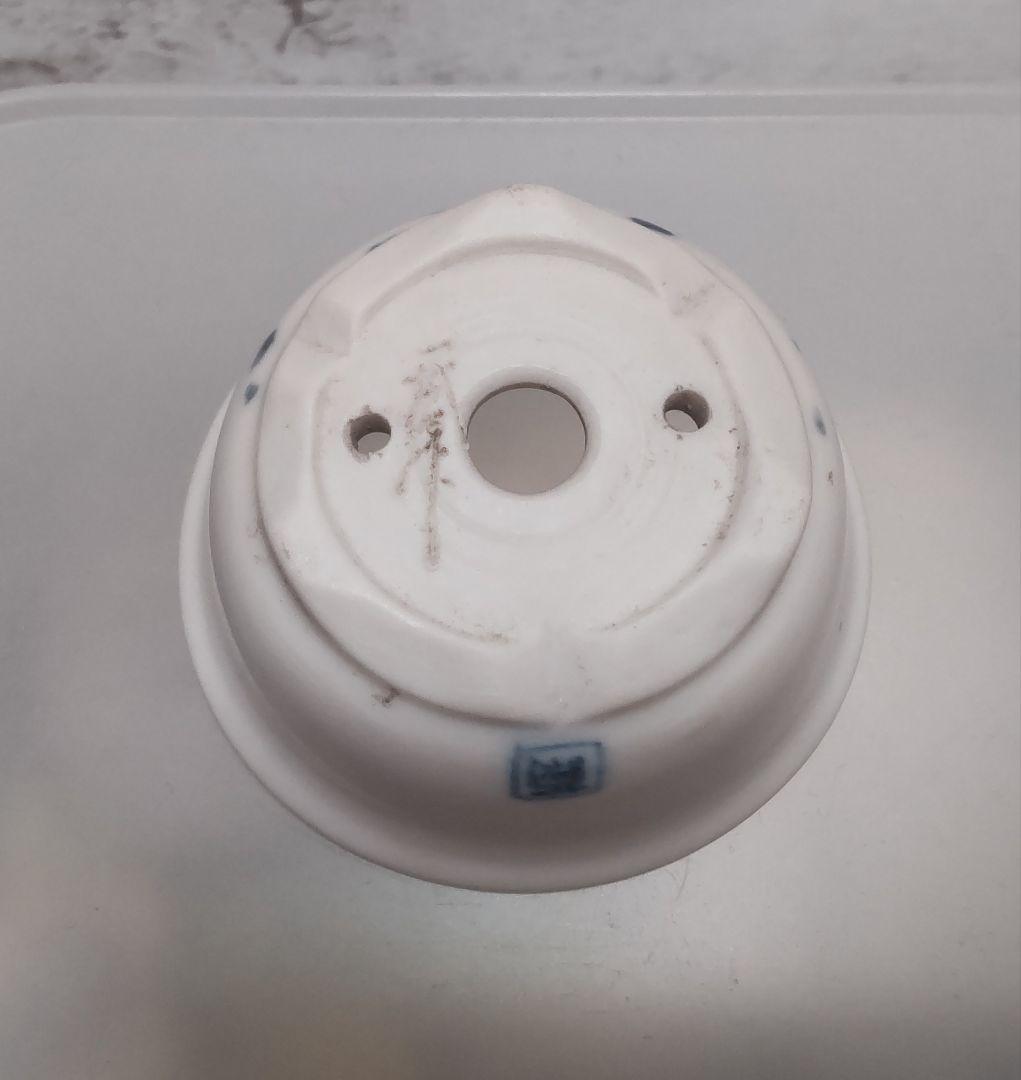 【レア】宗像一蒼×大島まゆみコラボ　ミニ盆栽鉢