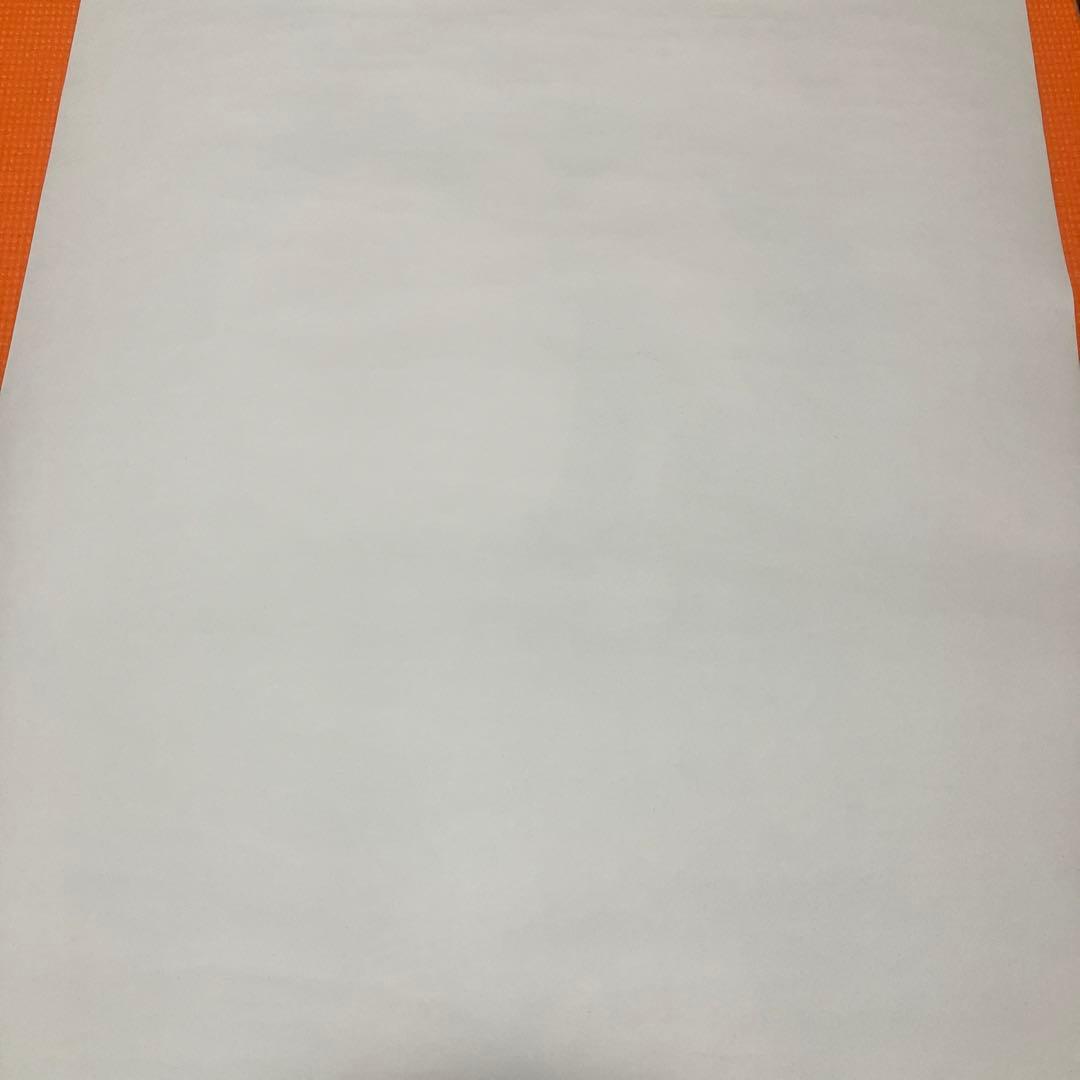 B’z LIVE-GYM94 ツアーポスター