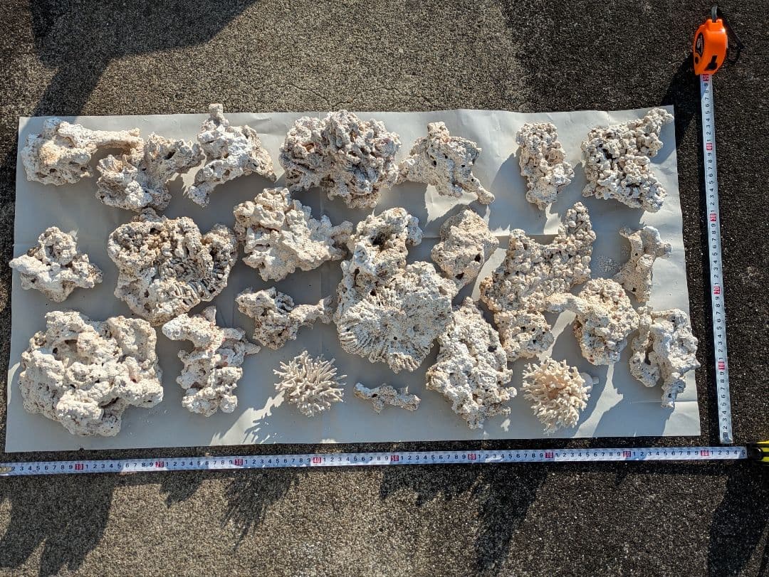 ライブロック　サンゴ　　テスロック　約6kg ①