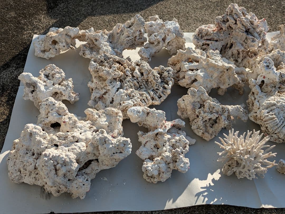 ライブロック　サンゴ　　テスロック　約6kg ①