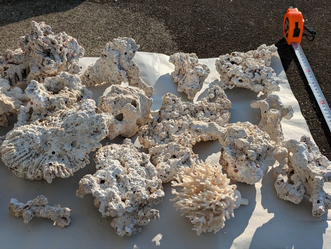 ライブロック　サンゴ　　テスロック　約6kg ①